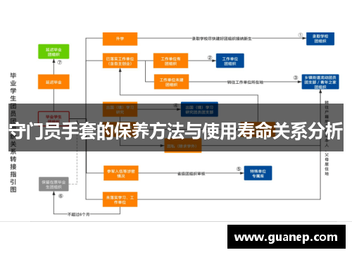 守门员手套的保养方法与使用寿命关系分析