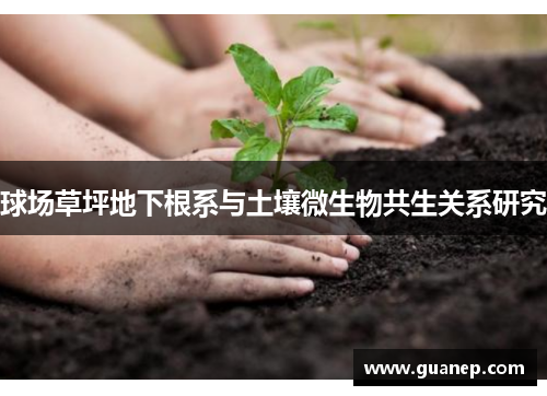球场草坪地下根系与土壤微生物共生关系研究